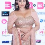 Punjabi Film Awards 2018 Photos ┬® Silver Fox Pictures 07967 777011 (158 of 552)