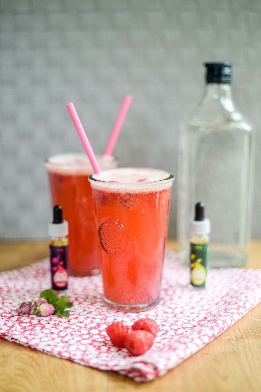 Raspberry Gin Fizz Cocktail by Ren Behan