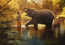 The Elephant Whisperers won an Oscar for the best documentary short film