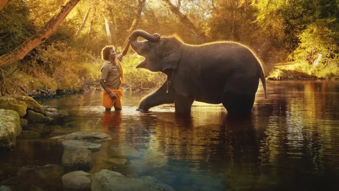 The Elephant Whisperers won an Oscar for the best documentary short film