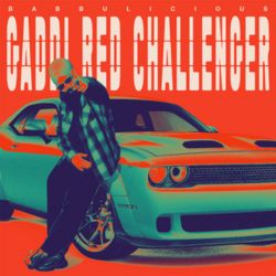 Babbulicious - Gaddi Red Challenger